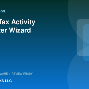 KanderBooks LLC Trader Tax Activity Organizer Wizard professional guided wizard